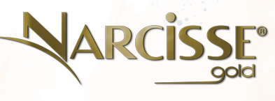 Narcisse